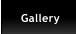 Gallery Gallery